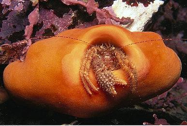 《XXX NIGHTSHIFT》Steam上线 悬疑冒险RPG