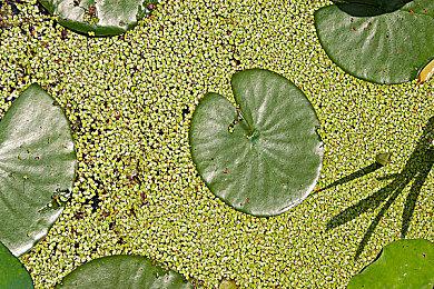 未公布《太鼓达人》游戏Xbox成就泄露