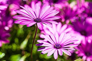 RTX4090测试《极限竞速：Motorsport》 4K分辨率无法稳定40帧